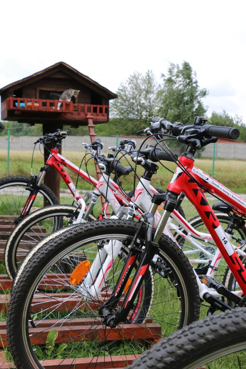 Siedlisko Carownica Family & Wellness Villa Lechów Екстериор снимка